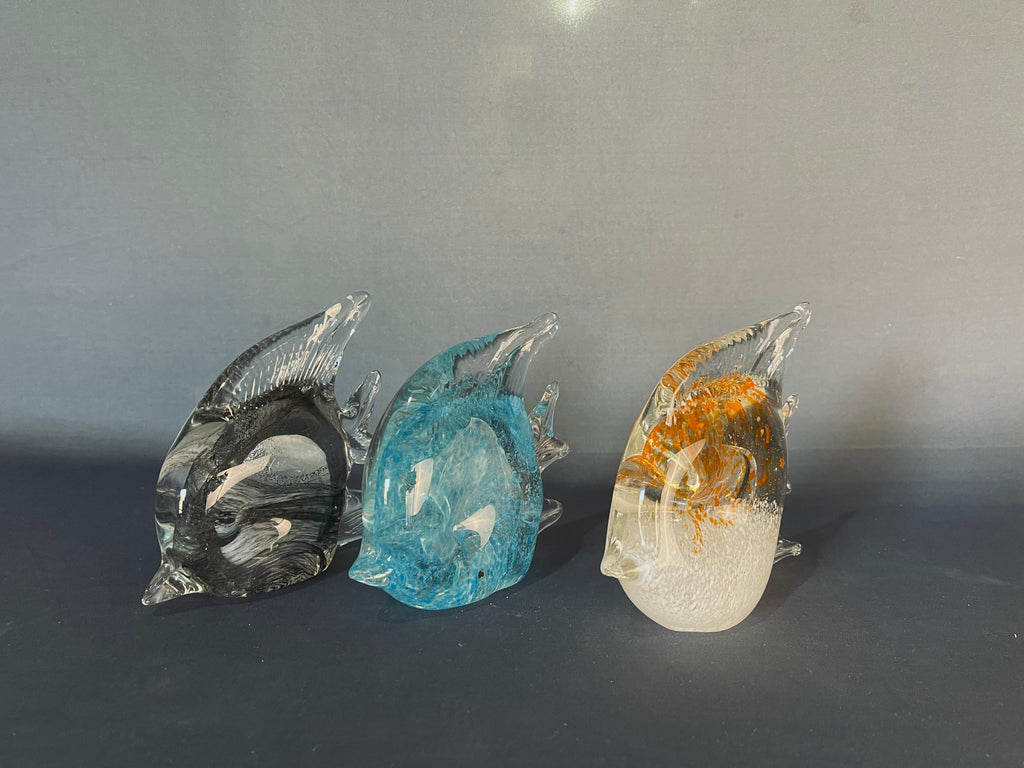 SET DE PEZ PISA PAPELES