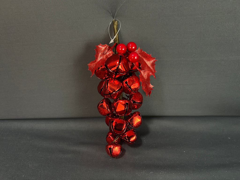 RACIMO  DE CASCABEL ROJO
