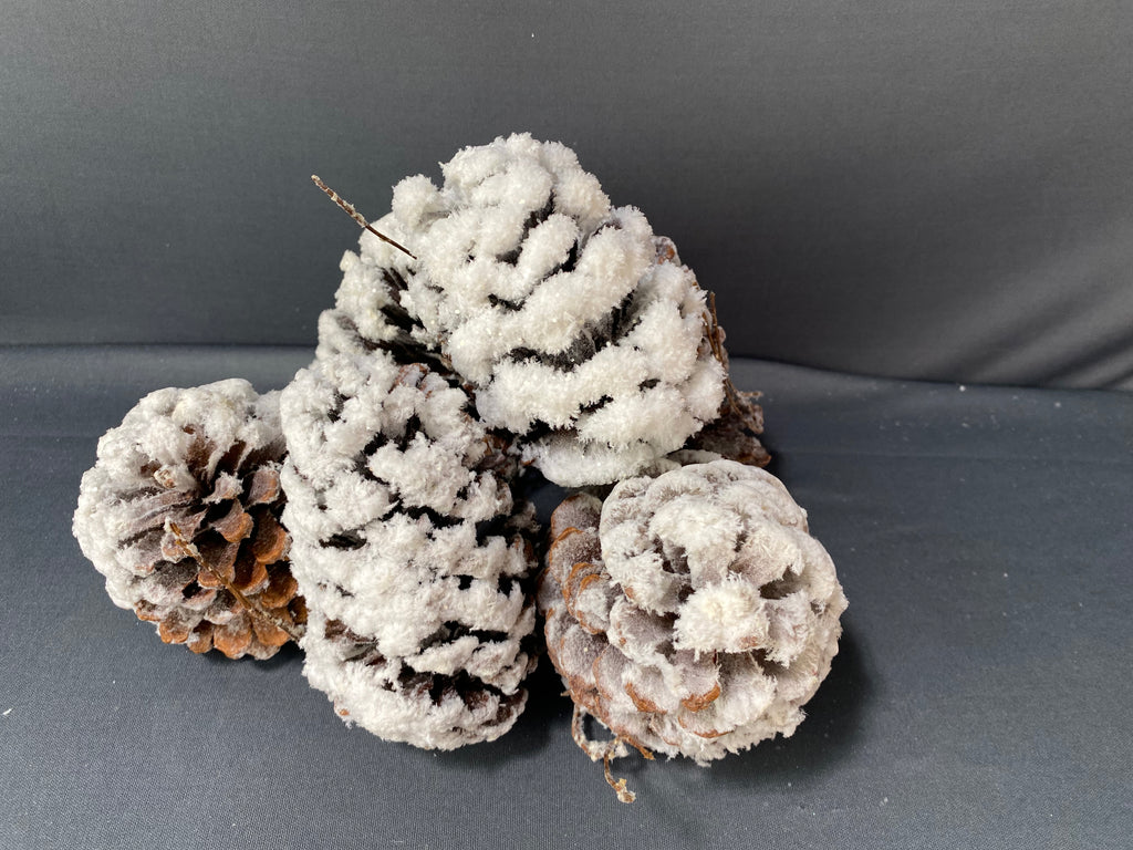 NAVIDAD PIÑAS NEVADAS