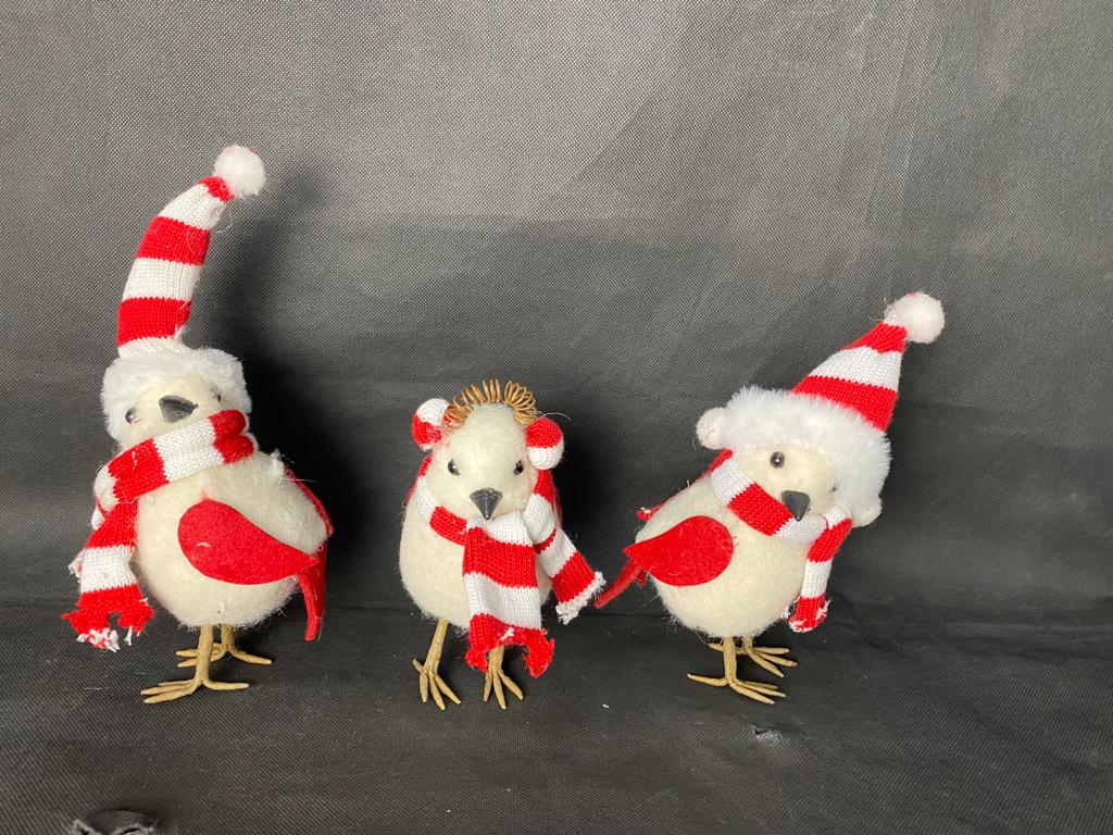 SET PAJAROS MINI C/GORRO